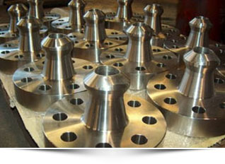 금속 고품질 가조 강화 니포 플랜지 ASME B16.5 클래스 150 300 RF NORSOK EDS NOL1 SCH160 F44 1