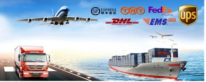 스테인리스 스틸 6*3 NPS 부트 용접 장착 장치 외진 환기 WP316LN 4