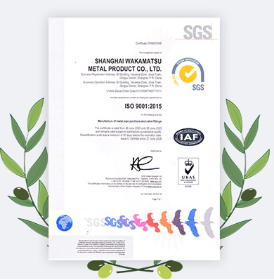 스테인리스 스틸 6*3 NPS 부트 용접 장착 장치 외진 환기 WP316LN 10