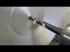 안출된 강철 플랜지