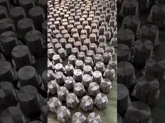 스테인리스 스틸 플러그