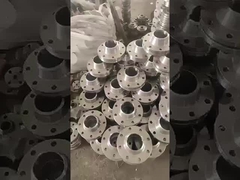 스테인레스 강 플랜지