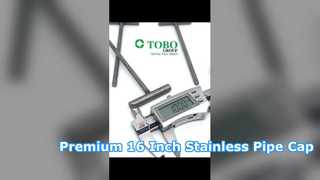 탄소강 T-볼트, 맞춤형 단조 T형 패스너 ​