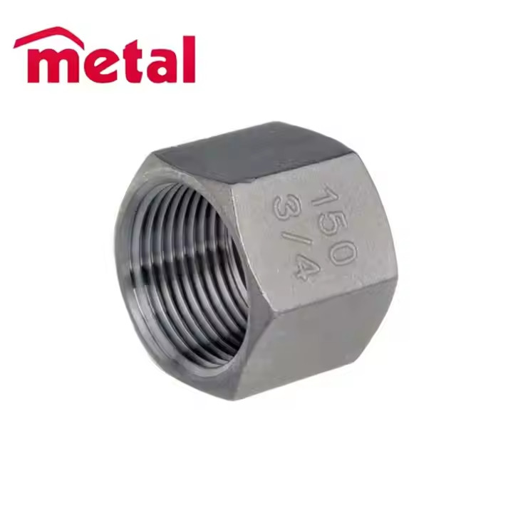 THD Hex Cap Threaded Fitting Forged Pipe Fitting NPS 1/8