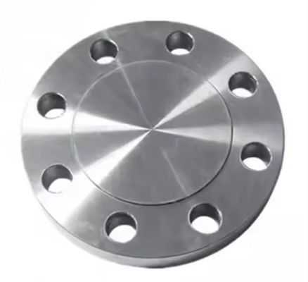 Customized ASME B16.5 Stainless Steel A182 F316L Class150 Forged Blind Flange for Pipe Connect